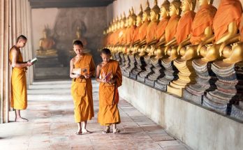 A Beginner's Guide to Buddhism